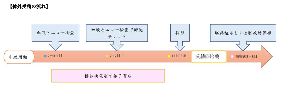 体外受精 Ivf 孕醫生殖医療センター